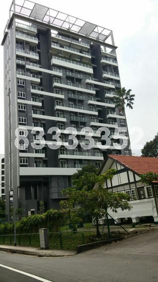 8 Bassein (D11), Apartment #164899422